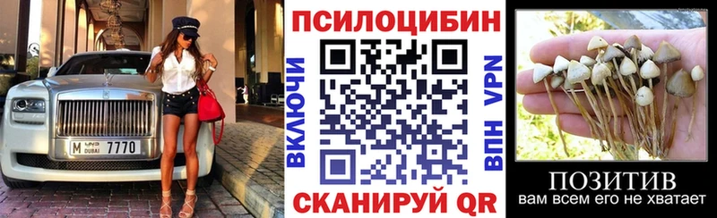 купить наркотики сайты  omg зеркало  Галлюциногенные грибы MAGIC MUSHROOMS  Вязьма 
